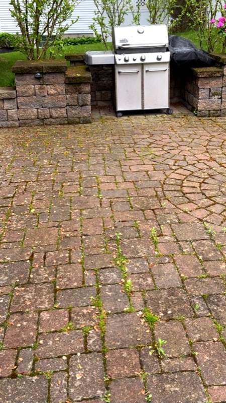 Patio Cleaning — before