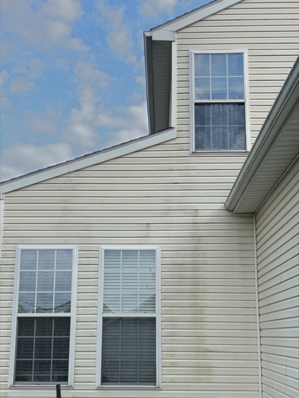 House Wash — before